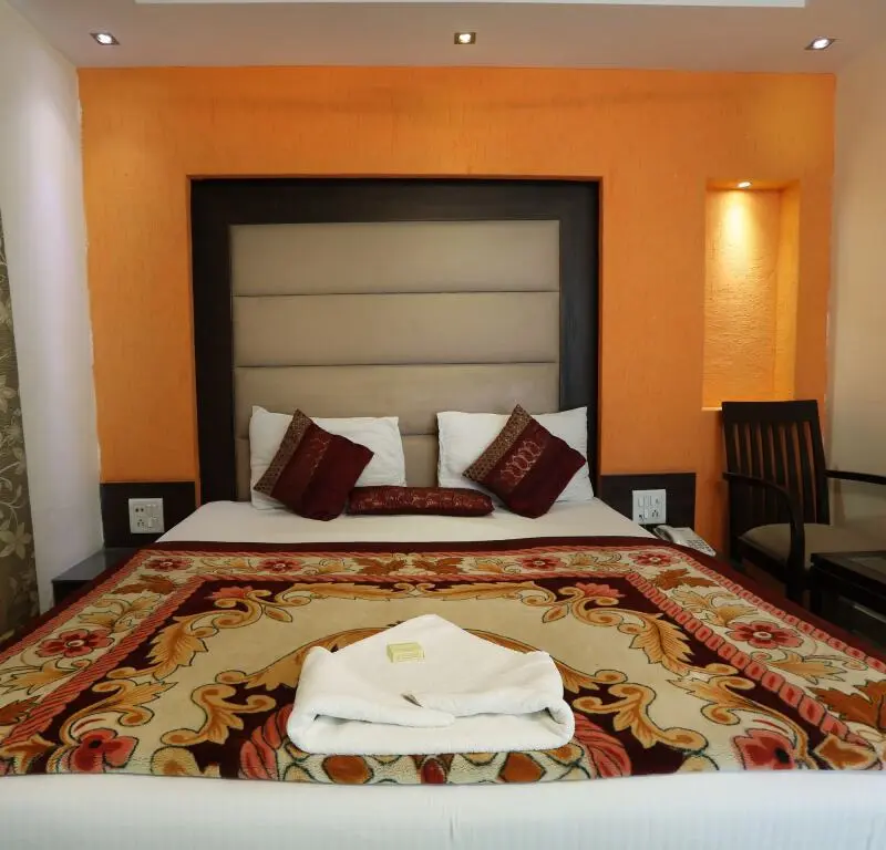 Нью-Дели: Hotel Shri Vinayak