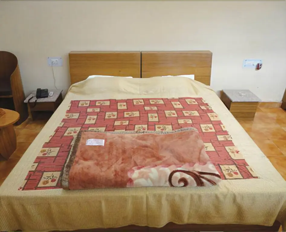 Наинитал: Fiesta Hotel