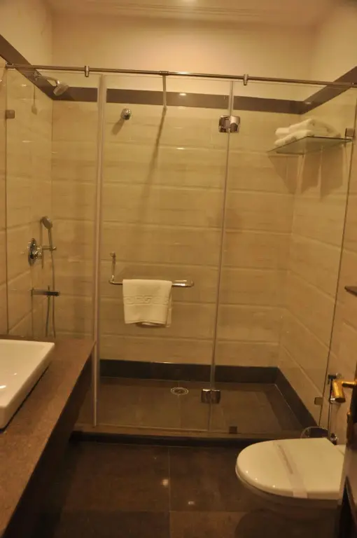 Нью-Дели: Hotel Africa Avenue South Ex