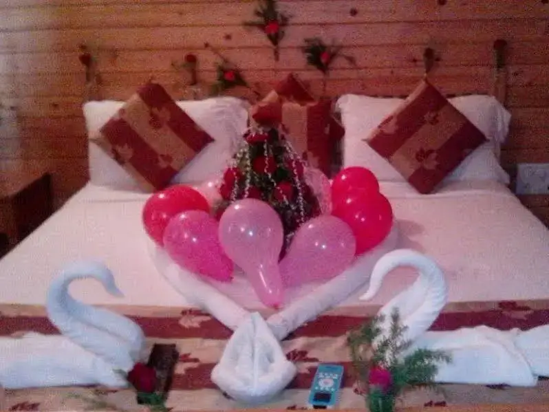 Вагатор: Aryans Hotel