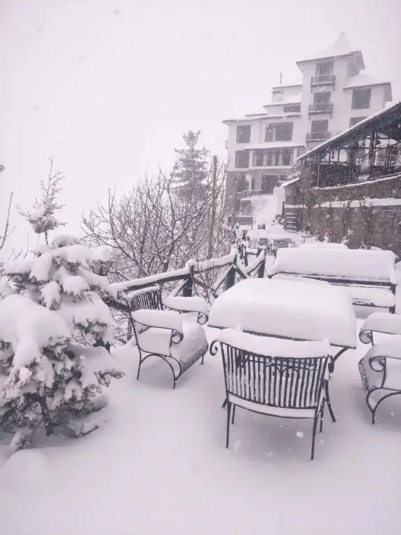 Tethys Ski Resort Narkanda — фото 1