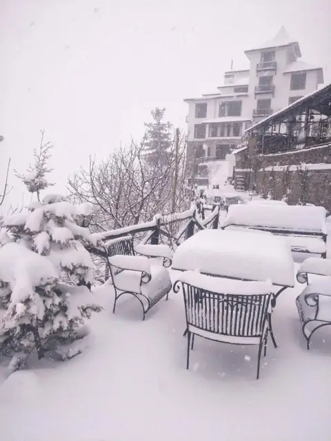 Tethys Ski Resort Narkanda — фото 1