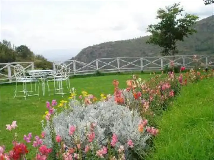 Ути: Mystique Ville