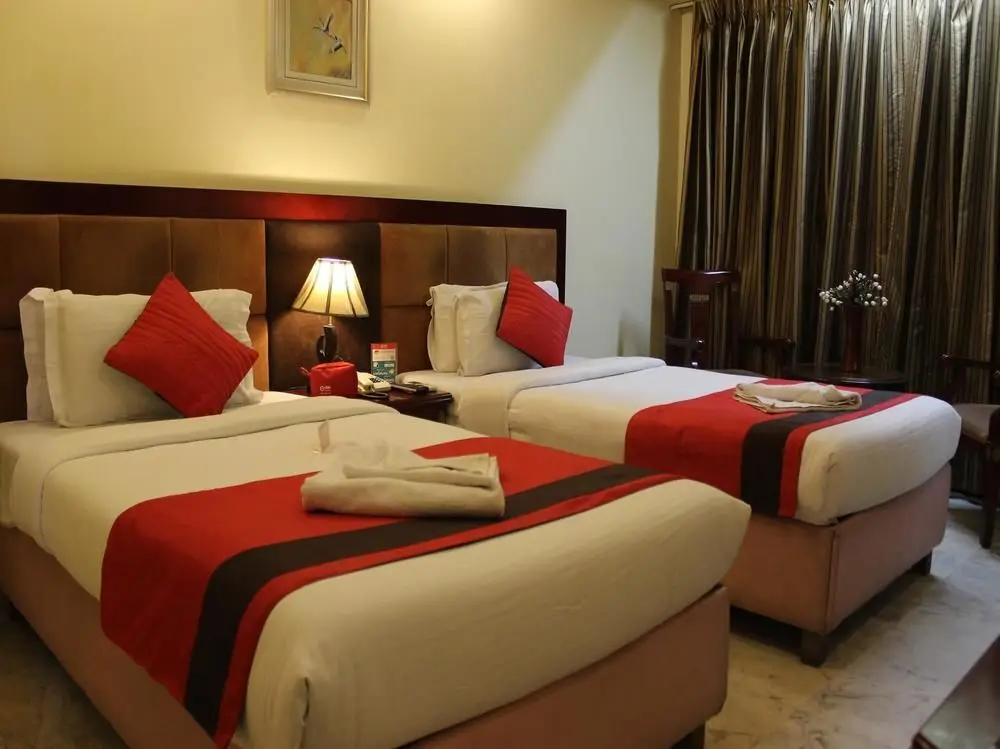 Нью-Дели: OYO 559 Hotel Kastor International