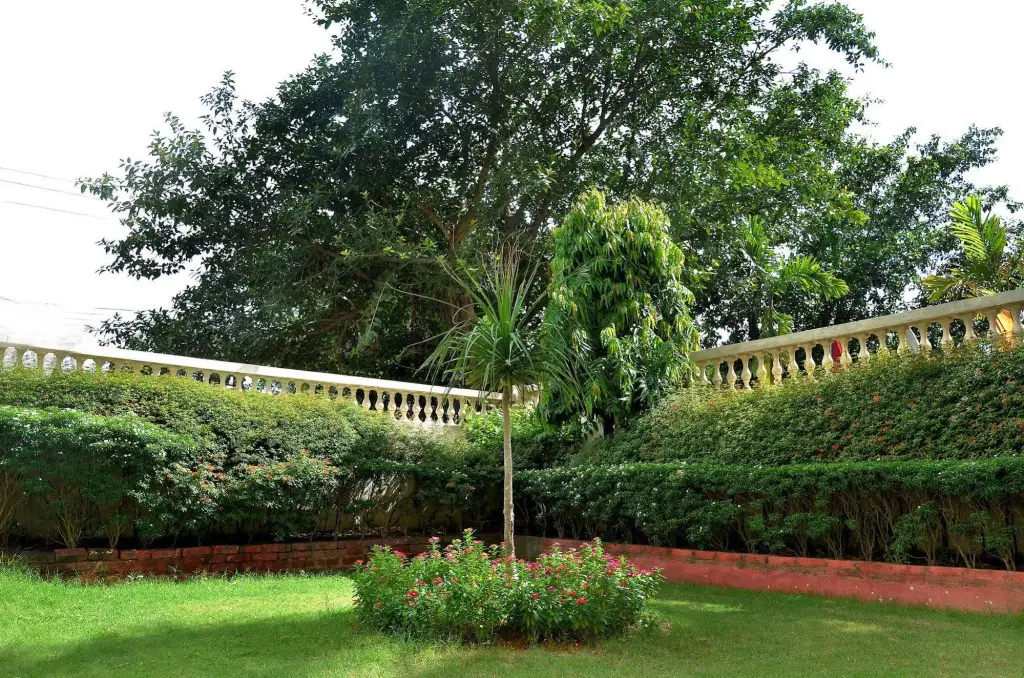 Болпур: Camellia Hotel, Santiniketan