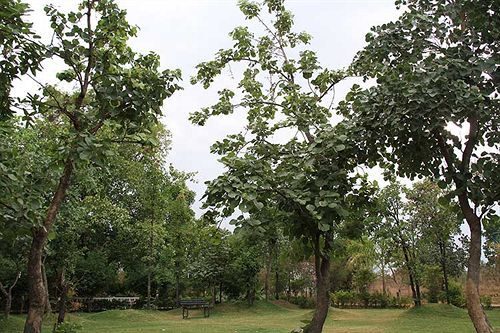 Турья: United-21 Jungle Resort Pench