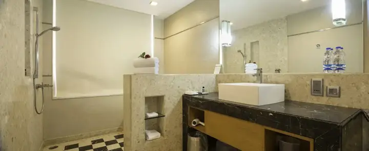 Лудхиана: Nirvana Luxury Hotel Ludhiana