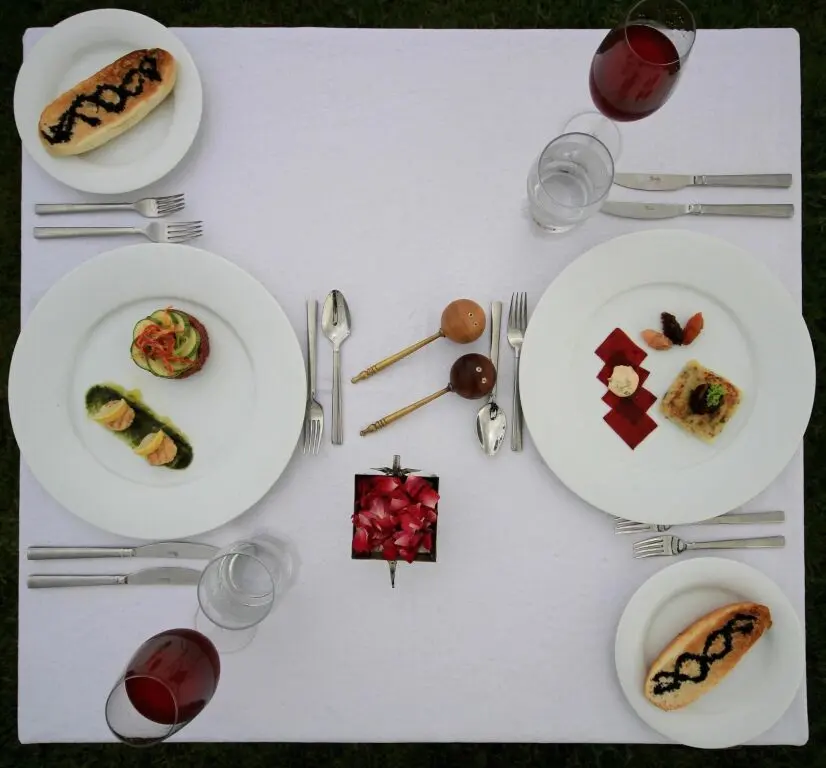 Джайпур: The Tree of Life Resort & Spa, Jaipur