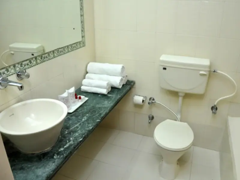 Hotel Sandhu Palace — фото 1