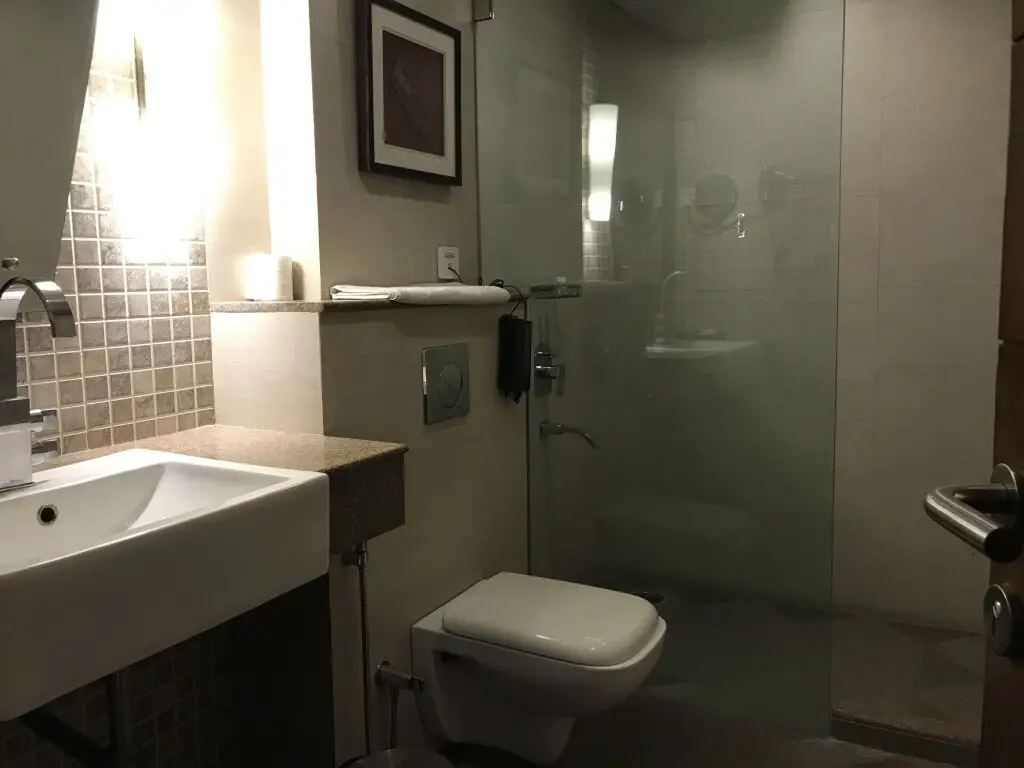 Лакхнау: Levana Hotel