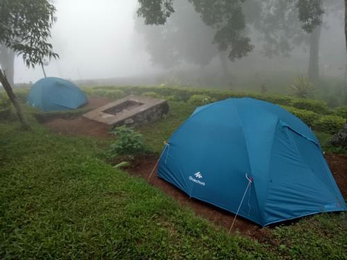 Муннар: Misty Cardamom Hills Munnar