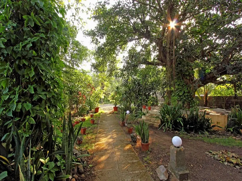Gir Birding Lodge — фото 1