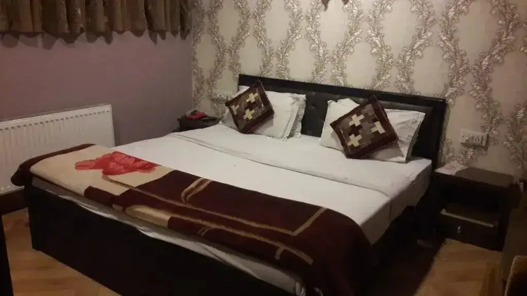 Шринагар: Hotel The Kaisar