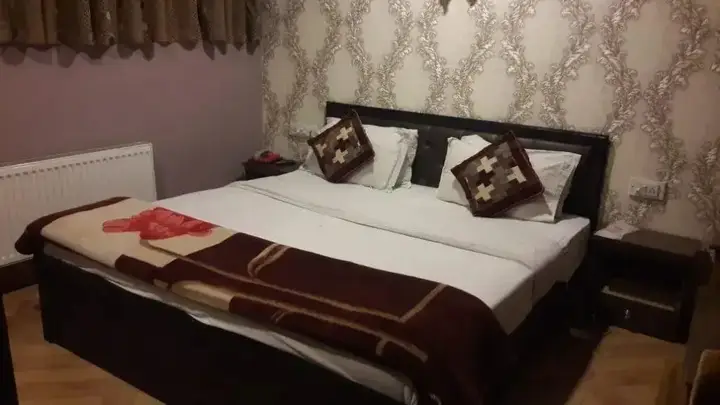 Шринагар: Hotel The Kaisar