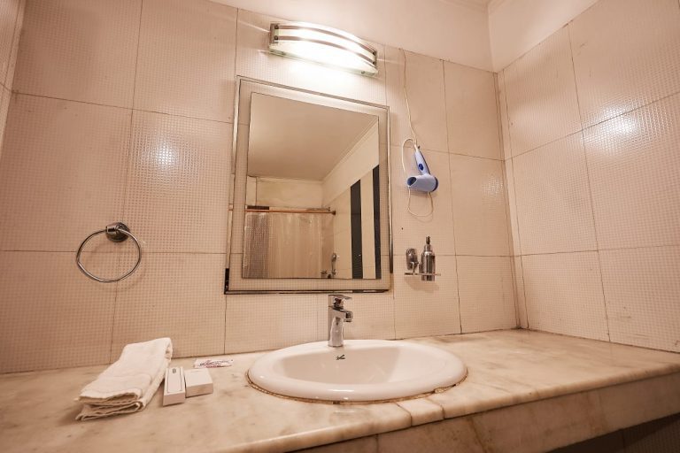 Нью-Дели: Hotel Shyama International