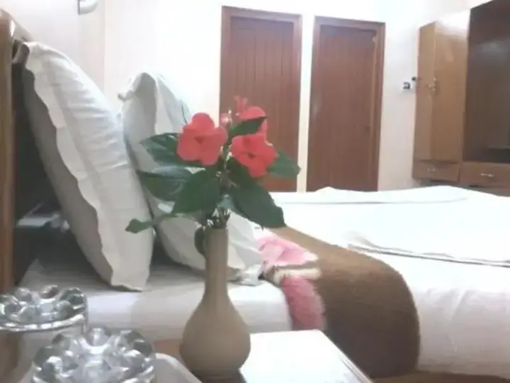 Кодайканал: Hotel Hill View - Kodaikanal