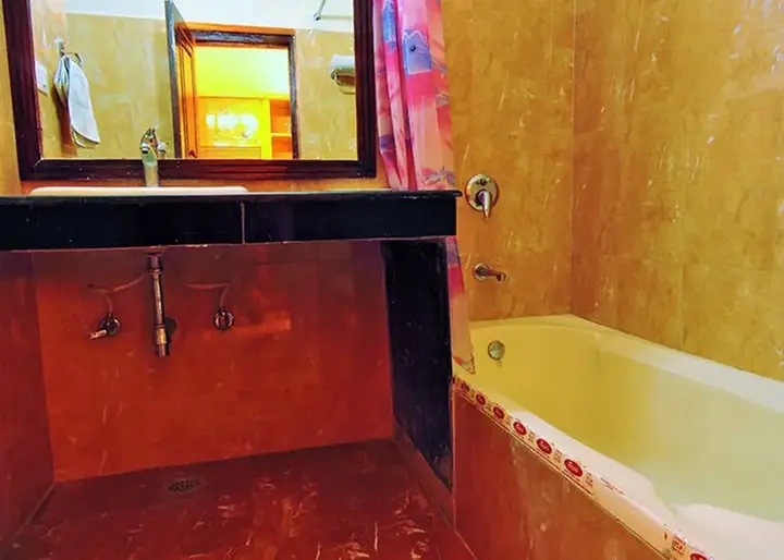 Наинитал: Hotel Travellers Paradise Naukuchiatal