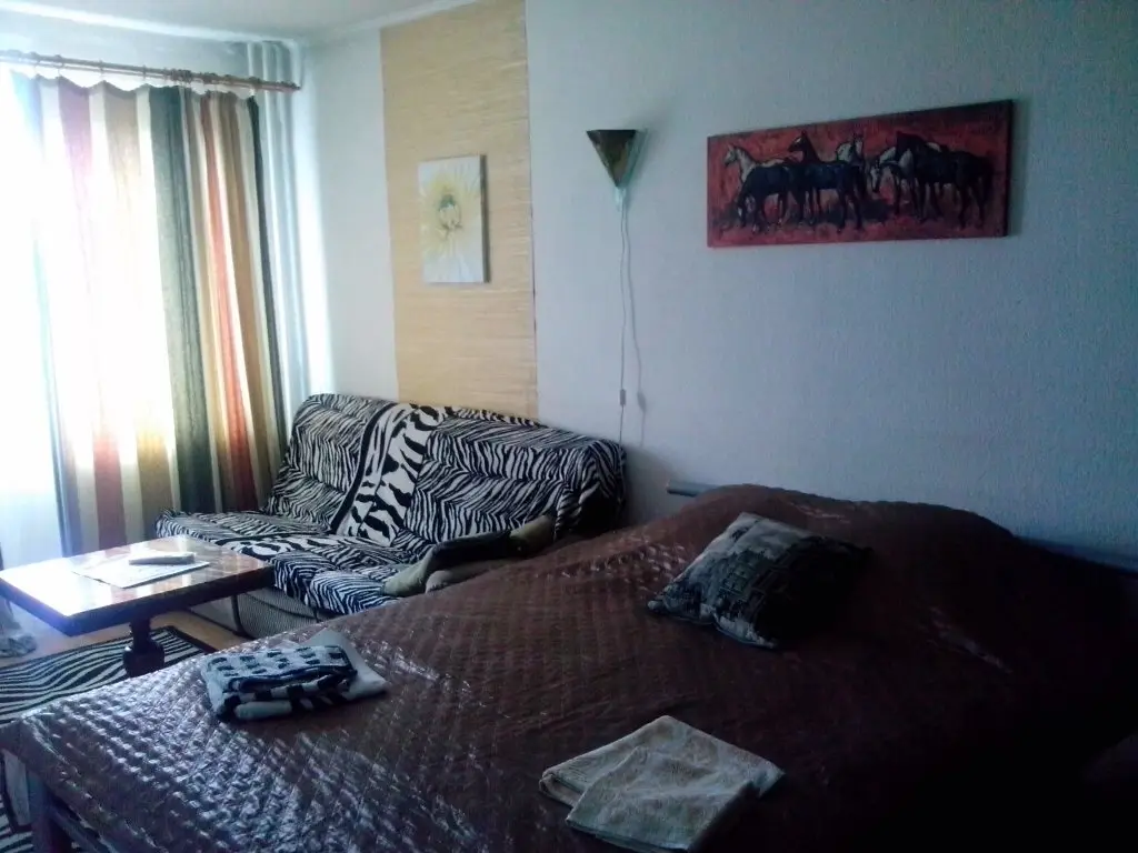 Калининград: S Vidom Na Novyij Stadion V Kaliningrade Apartments