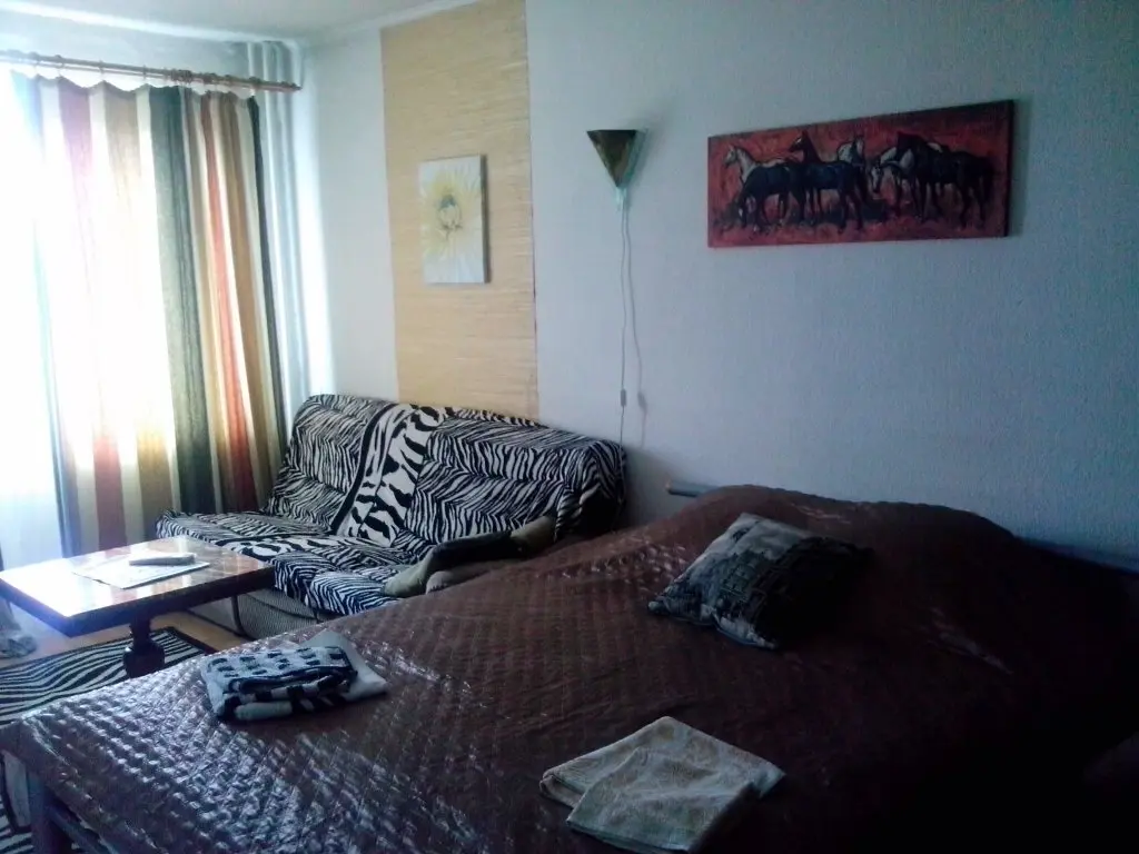 Калининград: S Vidom Na Novyij Stadion V Kaliningrade Apartments