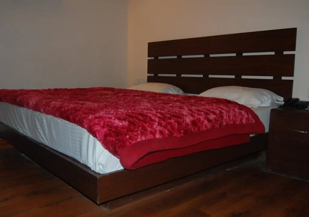 Наинитал: Hotel Regency Shyam Sunder
