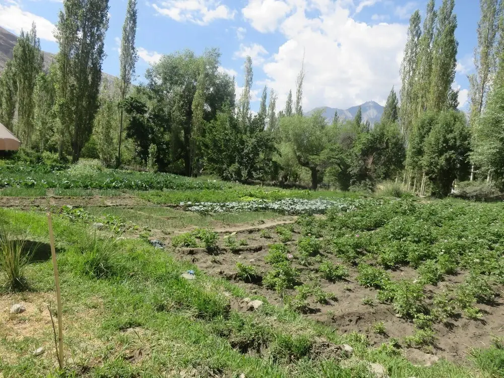 Лех: Silk Route Cottages