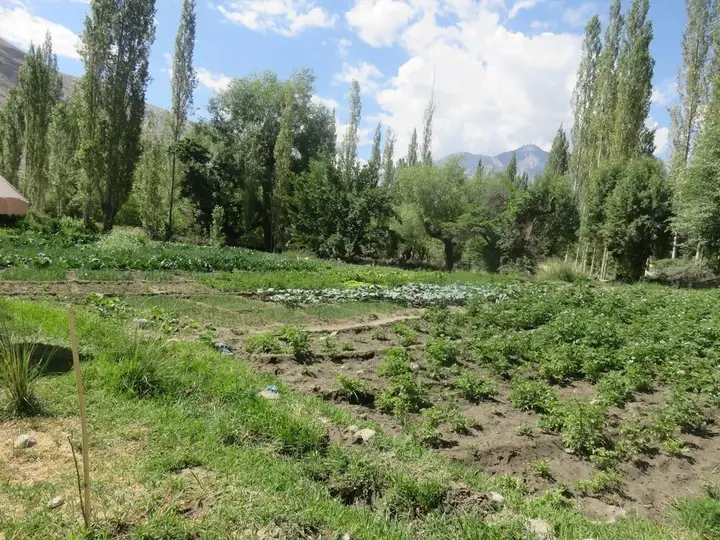 Лех: Silk Route Cottages