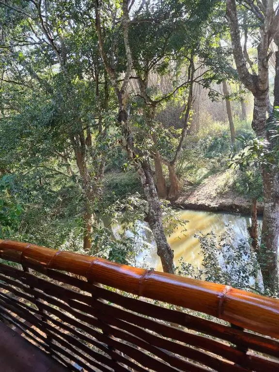 Бандипур: Deep Jungle Home