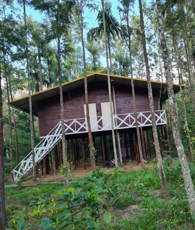 Deep Jungle Home — фото 1
