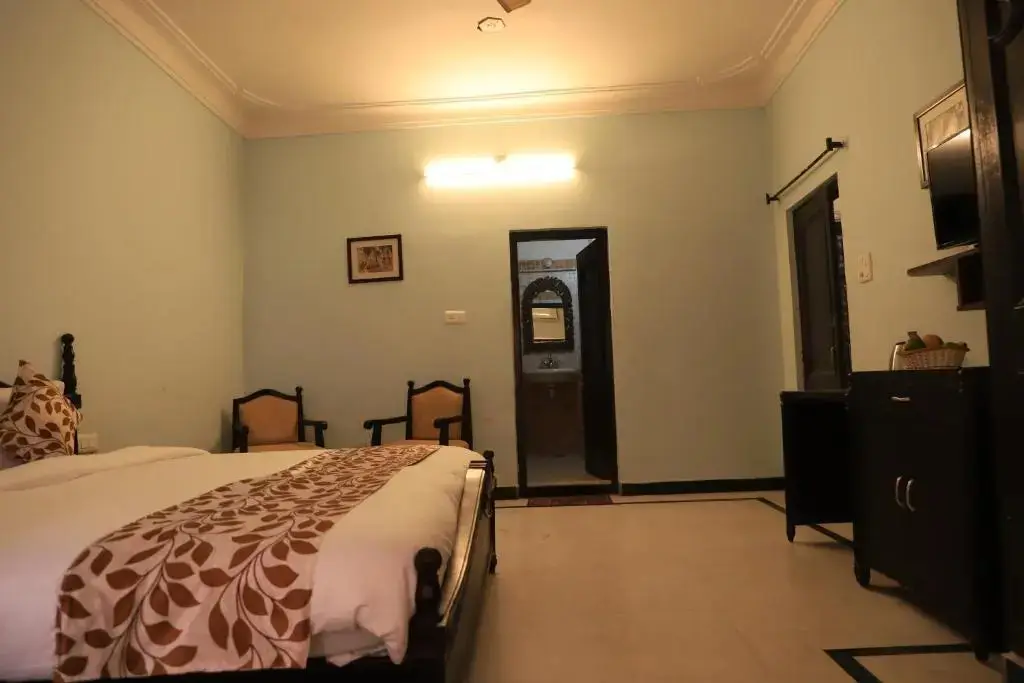 Hotel Moti Mahal — фото 1