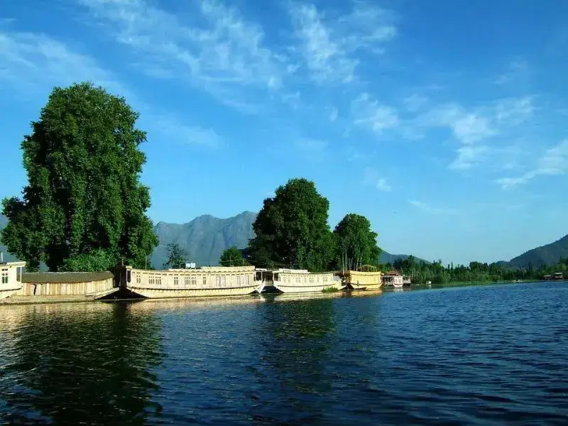 Шринагар: Majestic Houseboat
