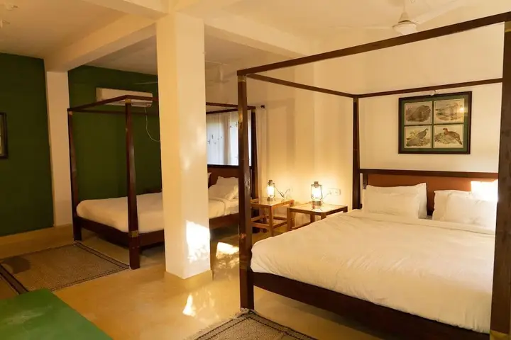 Тала: Bagh Tola, Bandhavgarh
