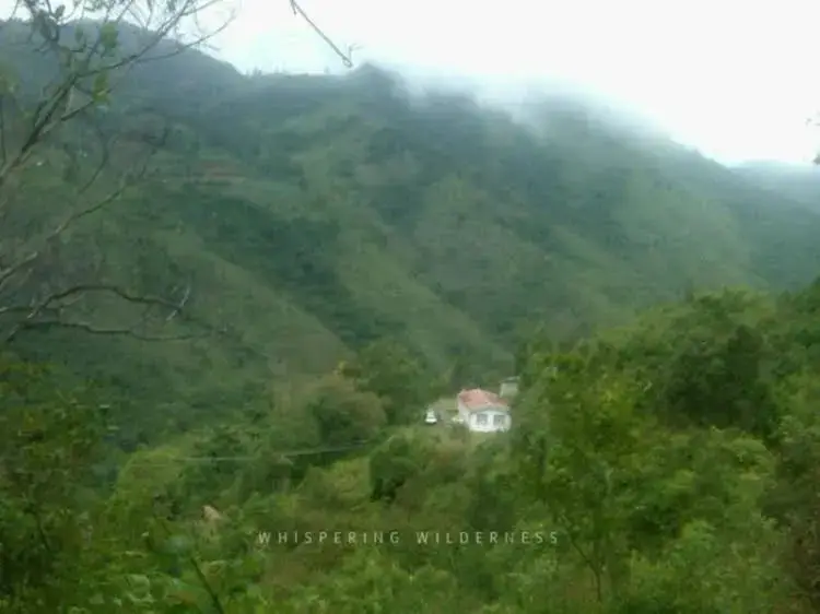 Ути: Hotel Whispering Wilderness - Sholur