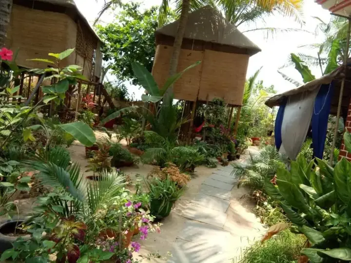Южный Гоа: Secret Garden Agonda