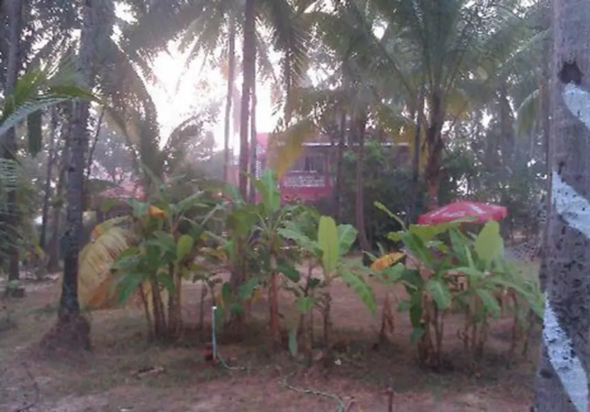 Южный Гоа: My Kind Of Place Beach Resort