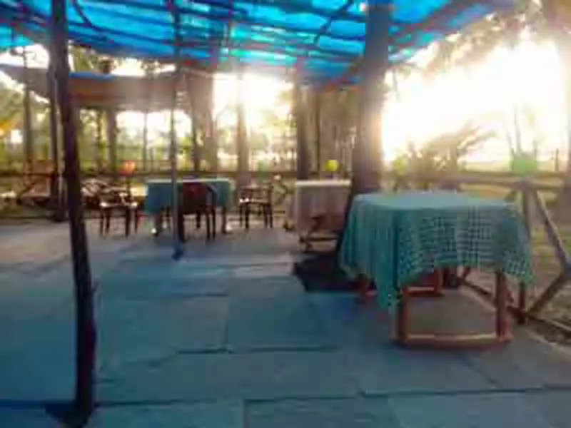 Южный Гоа: My Kind Of Place Beach Resort