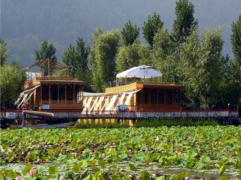 Royal Group of Houseboats — фото 1