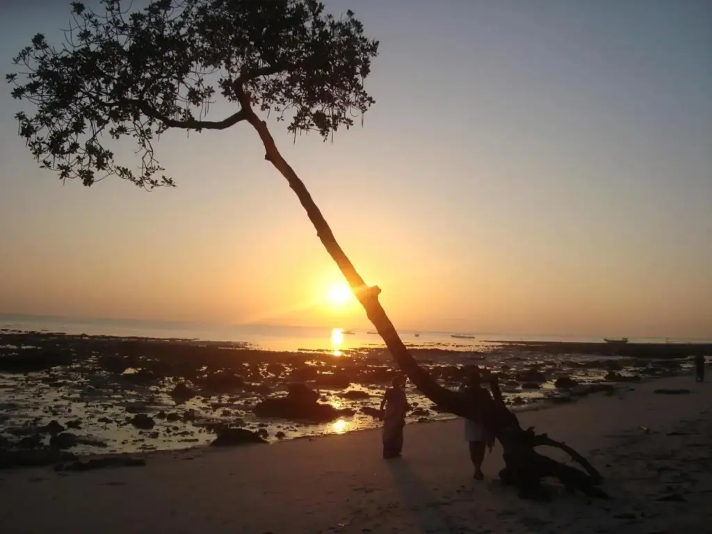 Остров Swaraj Dweep: Cross Bill Beach Resort
