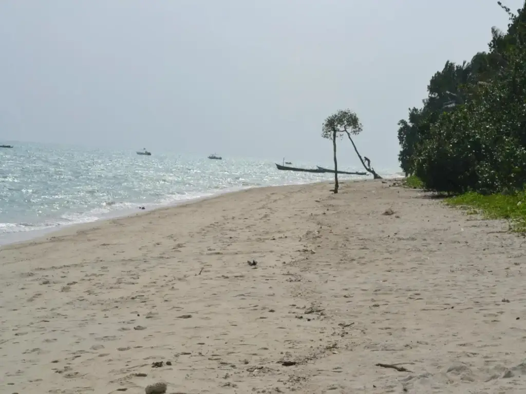 Остров Swaraj Dweep: Cross Bill Beach Resort