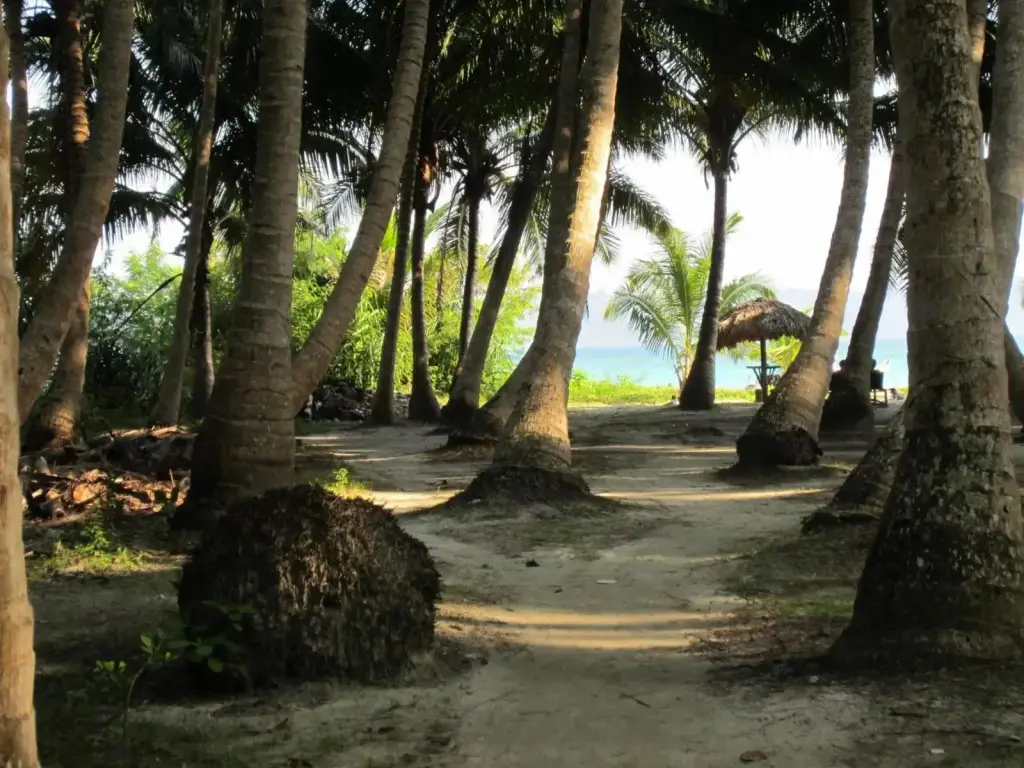 Остров Swaraj Dweep: Cross Bill Beach Resort