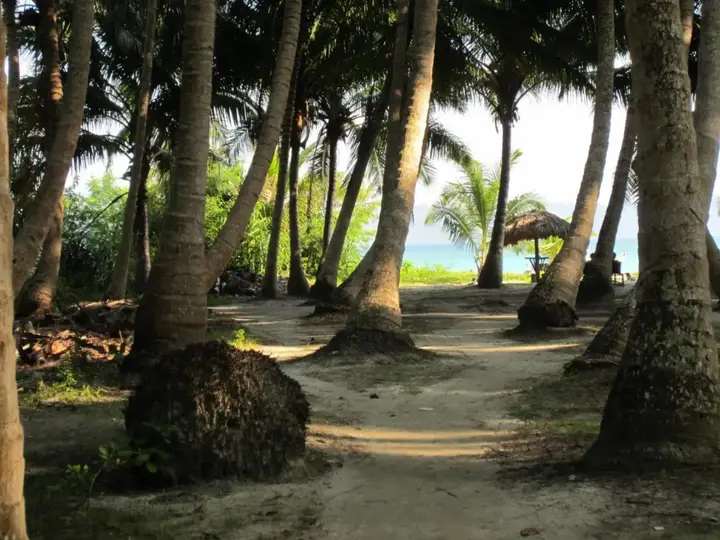Остров Swaraj Dweep: Cross Bill Beach Resort