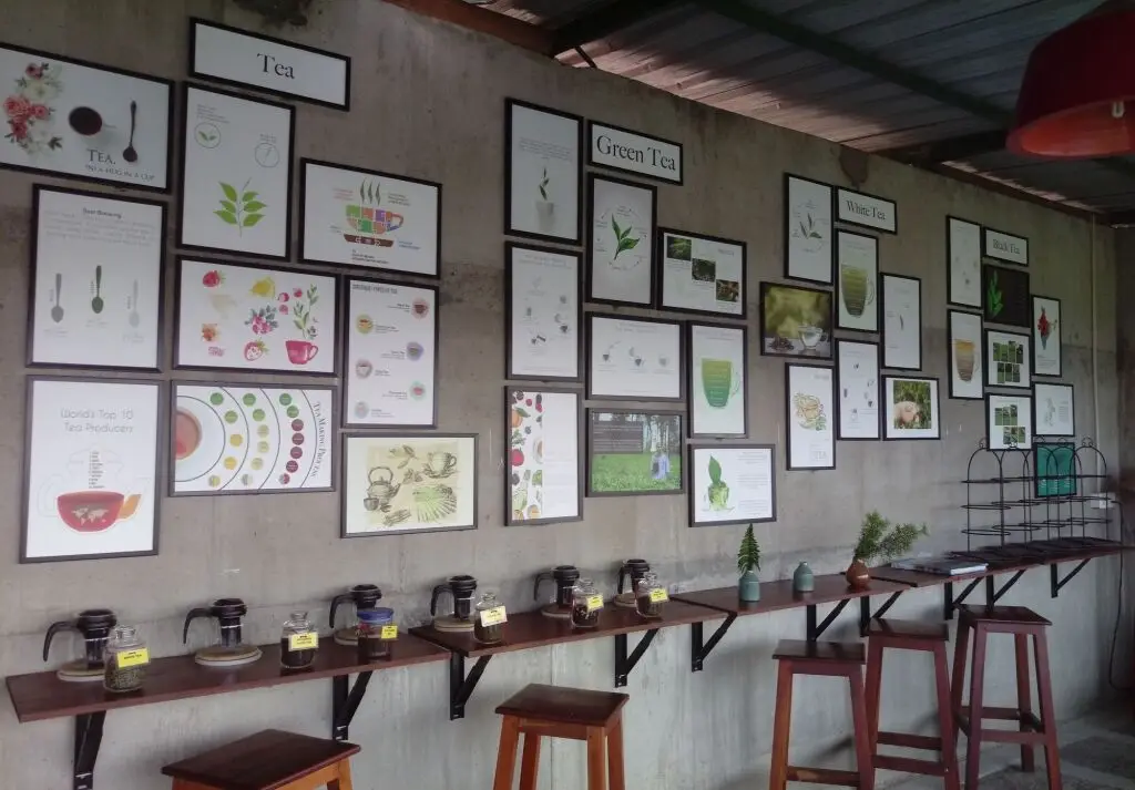 Муннар: Spice Tree Munnar