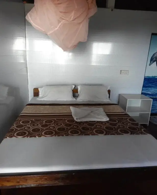 Южный Гоа: Agonda Dream View