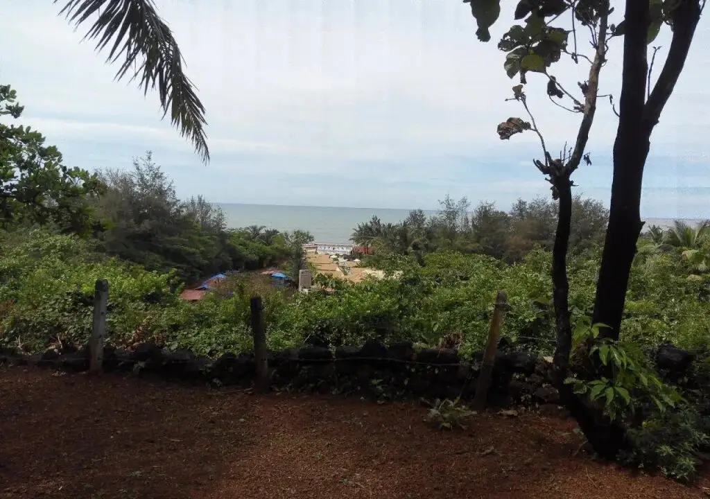 Южный Гоа: Agonda Dream View