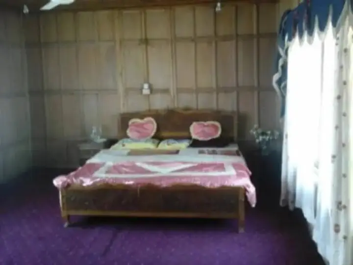 Шринагар: Pamela Houseboat