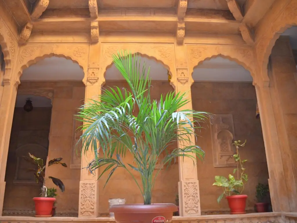 Джайсалмер: The Golden House Jaisalmer