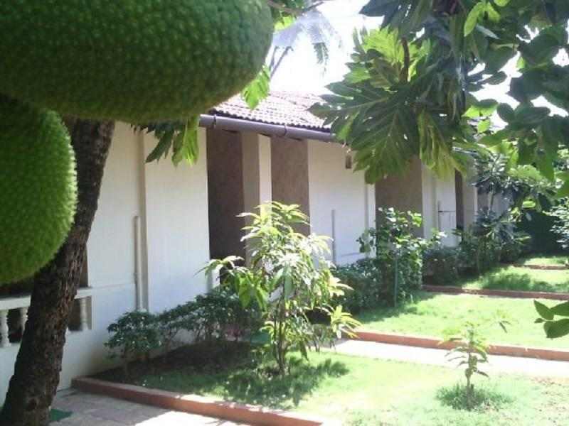 Южный Гоа: Palolem Delights Resort