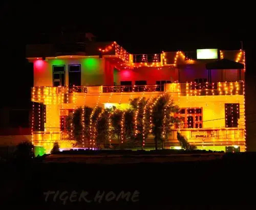 Ranthambore Tiger Home — фото 1