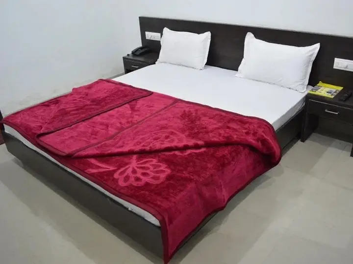 Удаипур: Hotel Pearl Palace