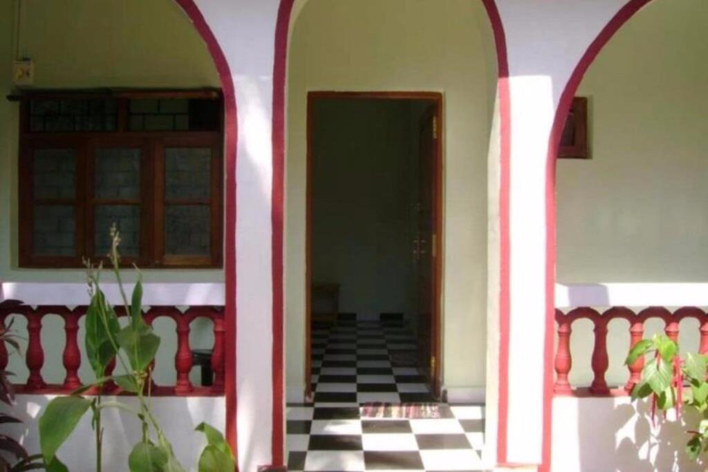 Анджуна: White Negro Beach Resort