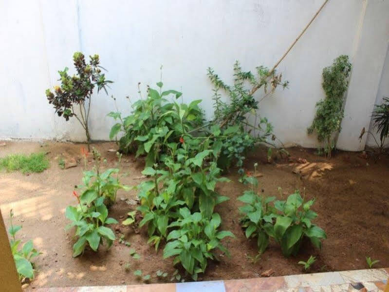 Анджуна: Purushottam Guest House